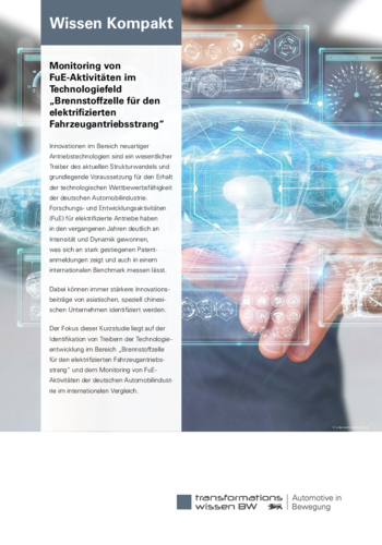 Monitoring von FuE-Aktivitäten im Technologiefeld „Brennstoffzelle für den elektrifizierten Fahrzeugantriebsstrang“